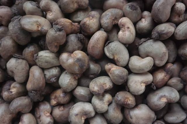 Cashew-Nuts-2-1